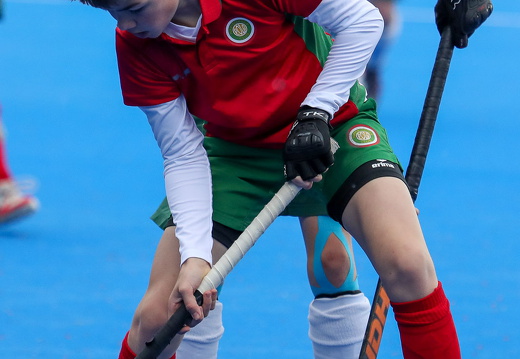 THK/SVB2 vs HPC3 (VL)