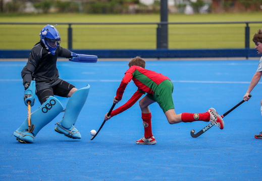 THK/SVB2 vs HPC3 (VL)