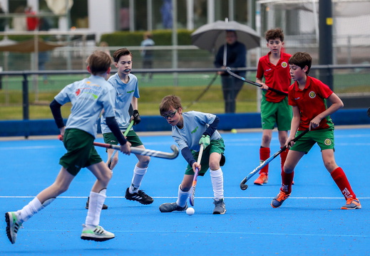 THK/SVB2 vs HPC3 (VL)