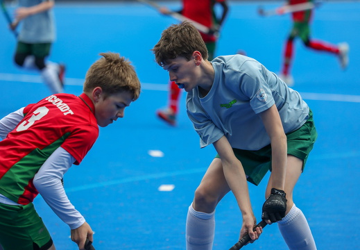 THK/SVB2 vs HPC3 (VL)