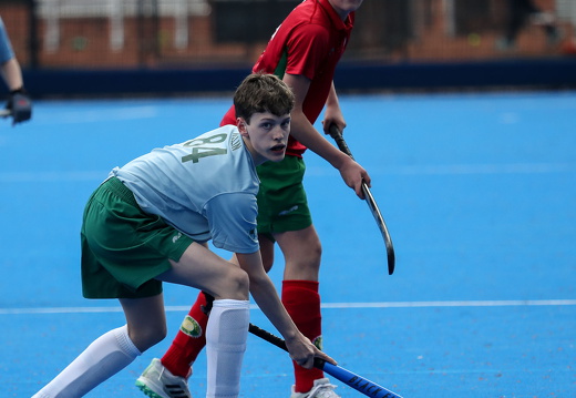 THK/SVB2 vs HPC3 (VL)