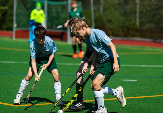 HSV Rautini Cup 2024