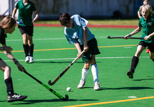 HSV Rautini Cup 2024
