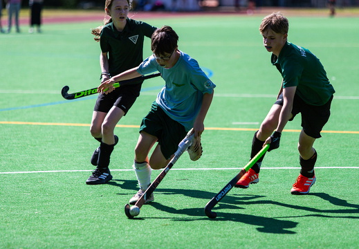 HSV Rautini Cup 2024