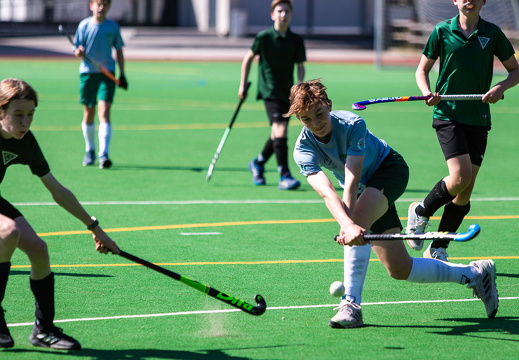 HSV Rautini Cup 2024