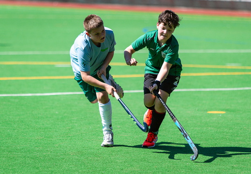 HSV Rautini Cup 2024