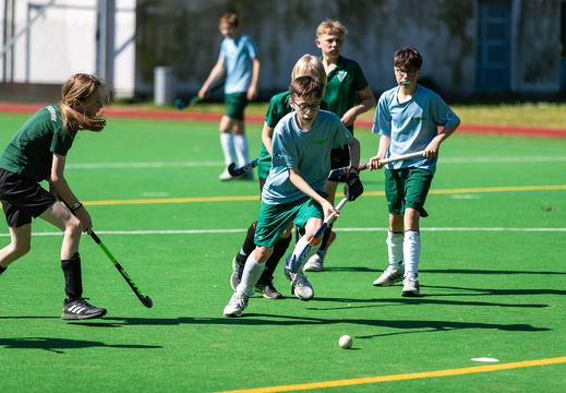 HSV Rautini Cup 2024