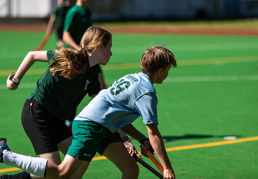 HSV Rautini Cup 2024