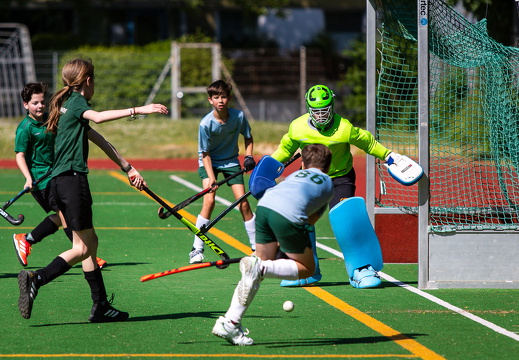 HSV Rautini Cup 2024